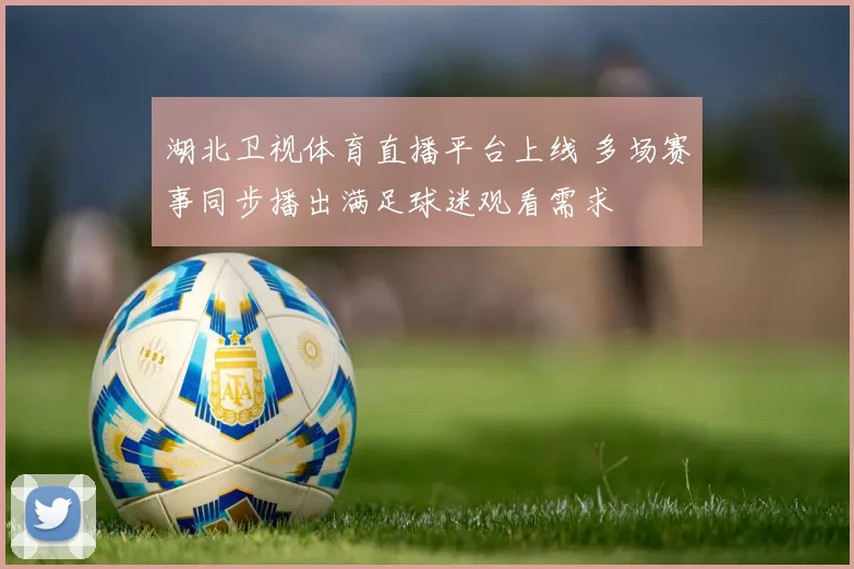 湖北卫视体育直播平台上线 多场赛事同步播出满足球迷观看需求