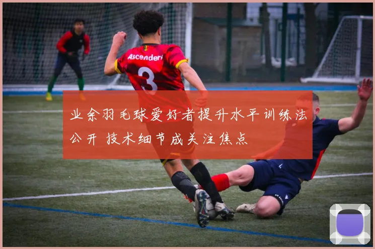 业余羽毛球爱好者提升水平训练法公开 技术细节成关注焦点