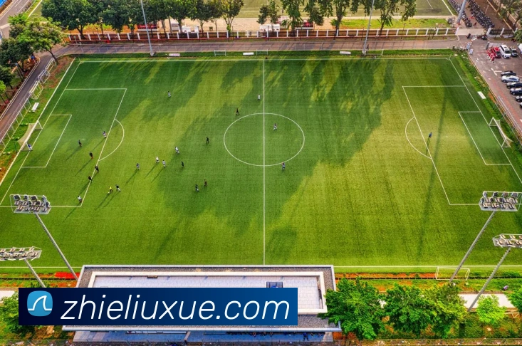 九游网站入口平台生态图