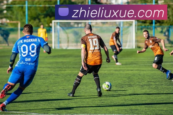 九游网站入口APP 封面图