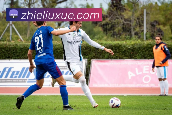 数据防护可视化